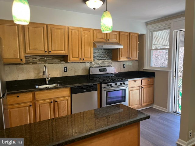 kitchen with tasteful backsplash, under cabinet range hood, dark stone counters, stainless steel appliances, and a sink