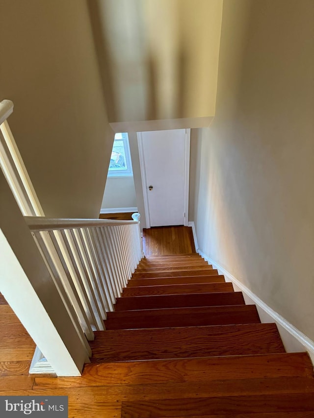 staircase featuring wood finished floors