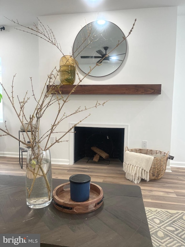 room details featuring baseboards, wood finished floors, and a fireplace