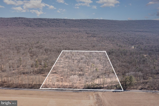 0 Summit Rd Lot 6, Mcclure, PA 17841