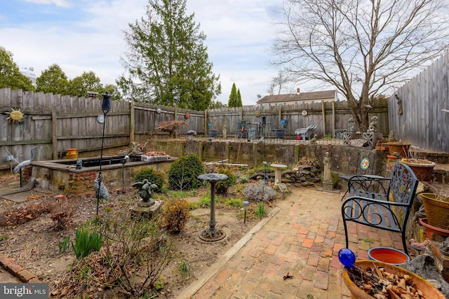 view of yard with a patio area and a fenced backyard