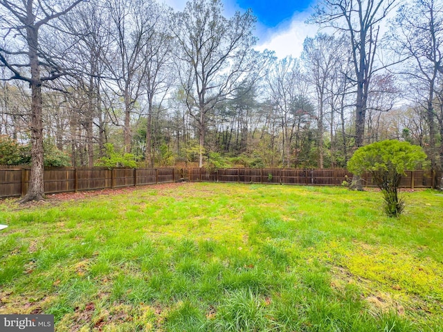 2204 Holly Oak Ct, Waldorf, MD 20601 - view of yard with a fenced backyard