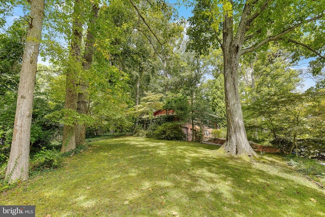 view of yard