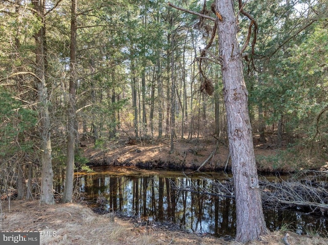 water view featuring a forest view