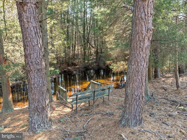 view of yard with a forest view