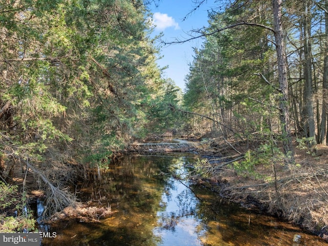 property view of water with a wooded view