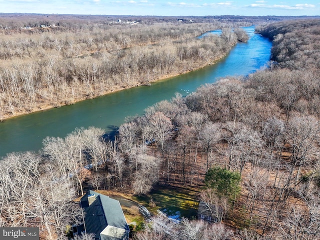 birds eye view of property with a forest view and a water view