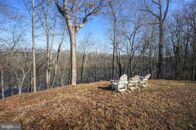 view of yard featuring a forest view