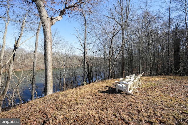 view of yard with a view of trees