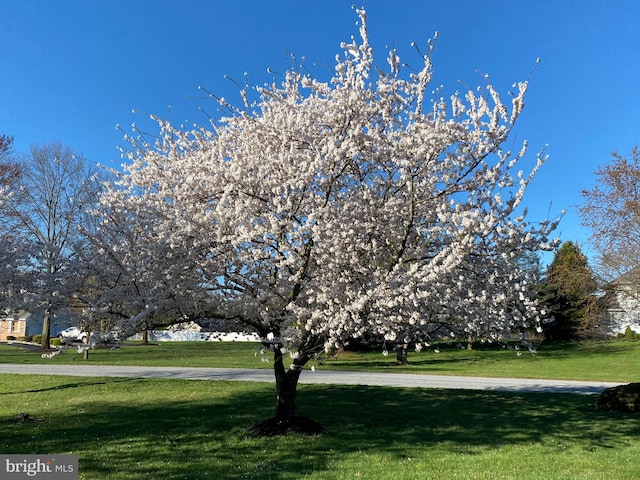 surrounding community with a lawn