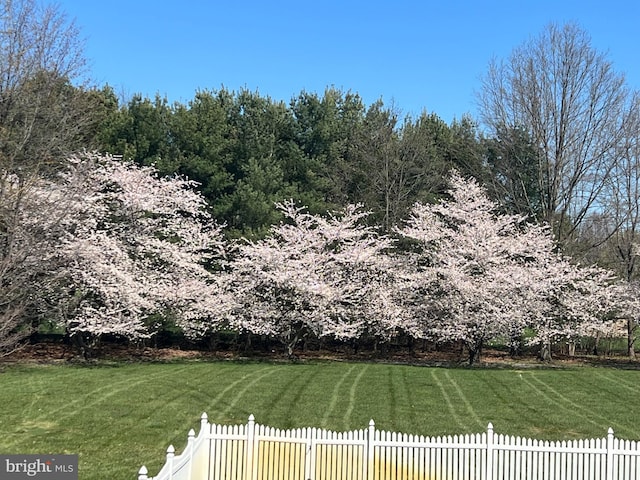 view of yard featuring fence