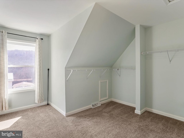 spacious closet with visible vents, lofted ceiling, and carpet