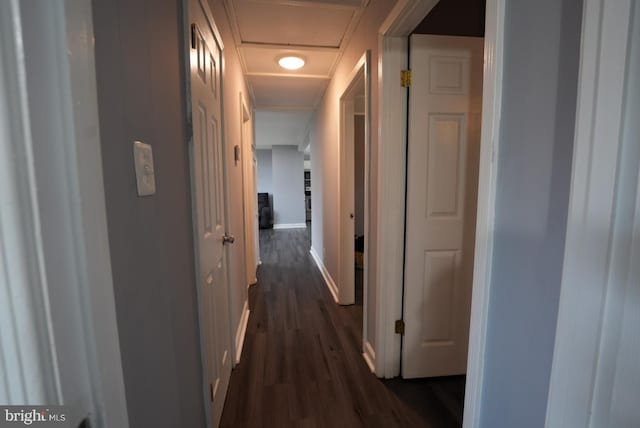 corridor featuring dark wood finished floors