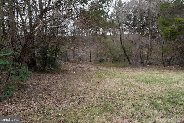 view of yard featuring a wooded view