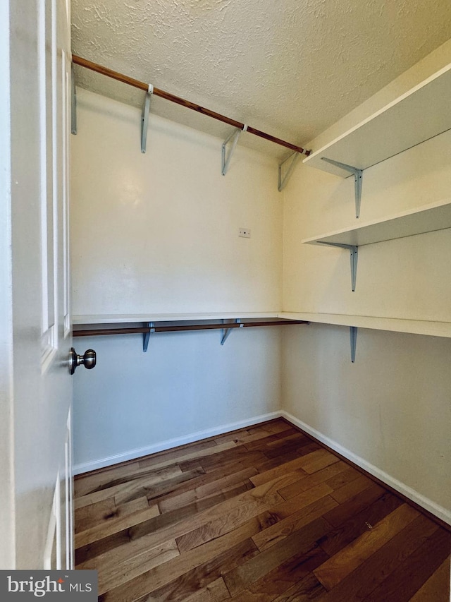 spacious closet featuring wood finished floors