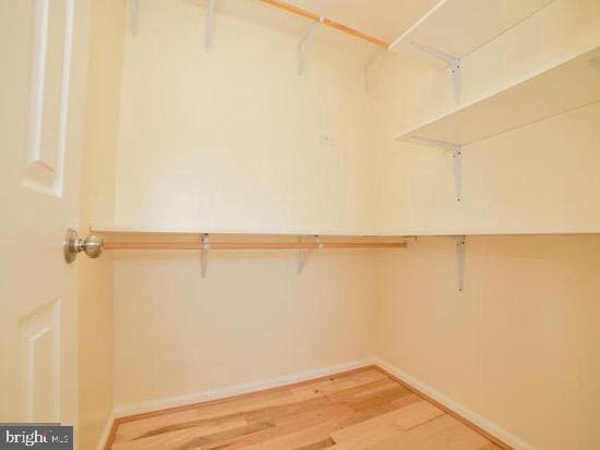 walk in closet with light wood-type flooring