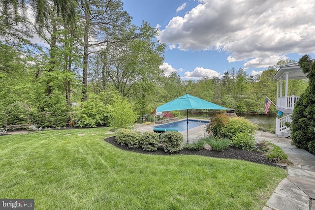 view of yard featuring an outdoor pool and a patio