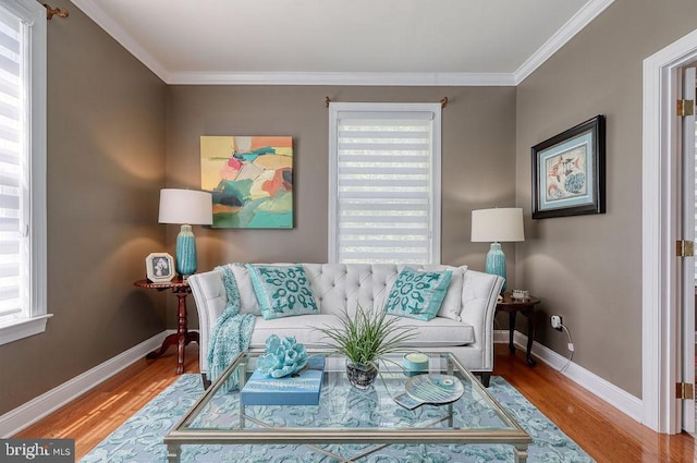 living room featuring baseboards, wood finished floors, and ornamental molding