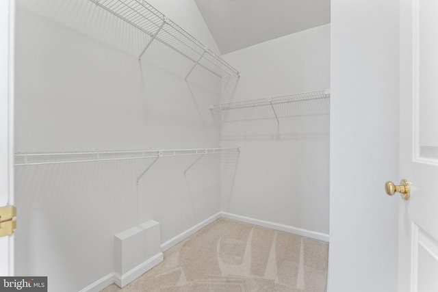 walk in closet featuring carpet and vaulted ceiling