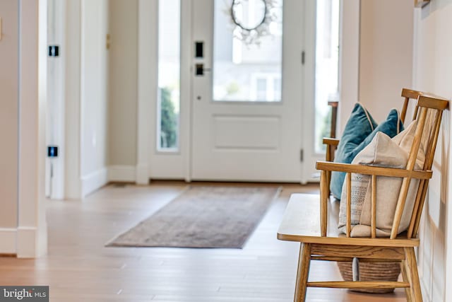 entrance foyer featuring baseboards and wood finished floors