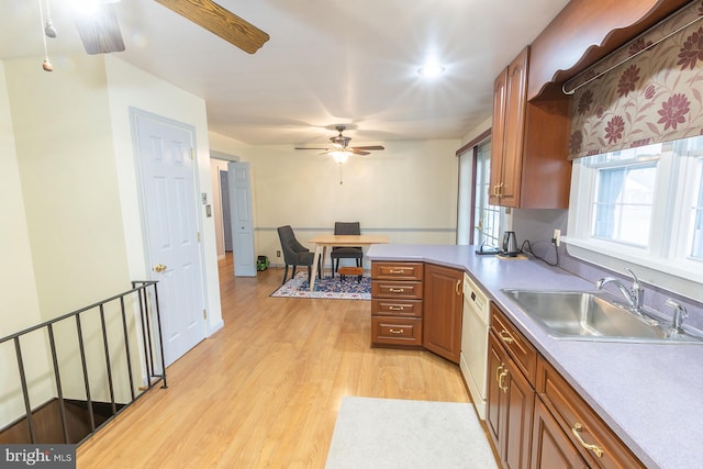 kitchen featuring a ceiling fan, light wood finished floors, white dishwasher, a sink, and brown cabinets