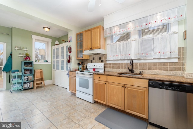 kitchen featuring backsplash, under cabinet range hood, dishwasher, electric stove, and a sink