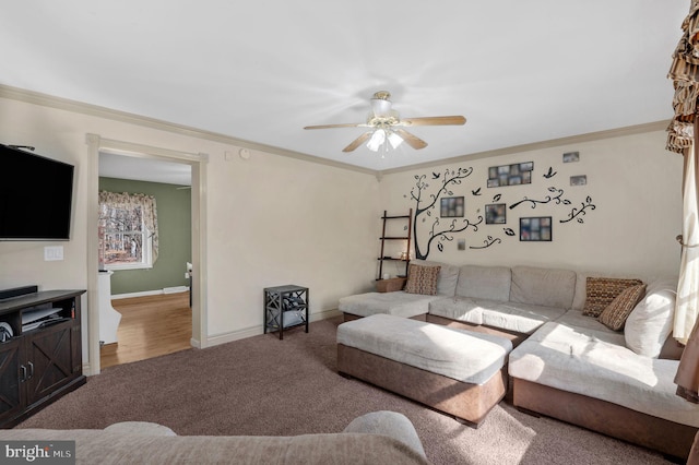 living room with baseboards, carpet, ceiling fan, and ornamental molding