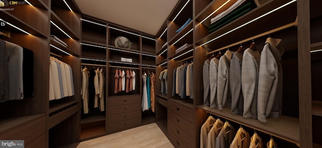 walk in closet with wood finished floors