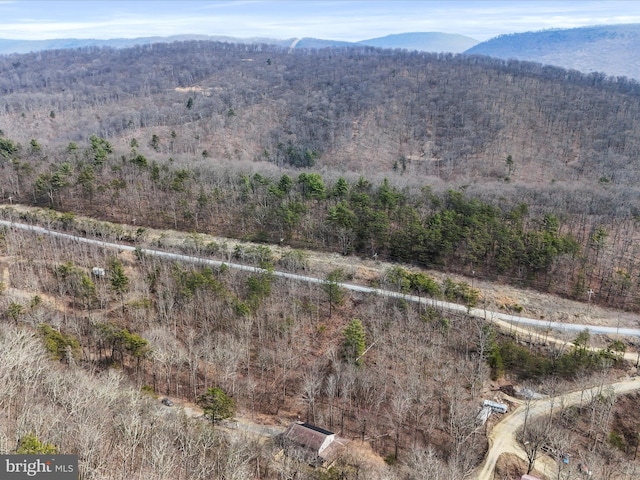 view of mountain feature featuring a forest view