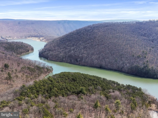 property view of water with a wooded view