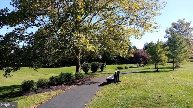 view of community with a lawn