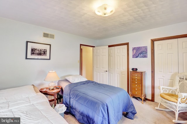 381 N Main St, Spring Grove, PA 17362 - bedroom with multiple closets and light carpet