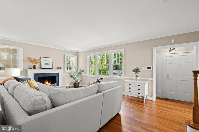 3517 Woodbine St, Chevy Chase, MD 20815 - living room with crown molding, baseboards, a tiled fireplace, and wood finished floors