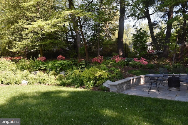 3517 Woodbine St, Chevy Chase, MD 20815 - view of yard featuring fence and a patio area