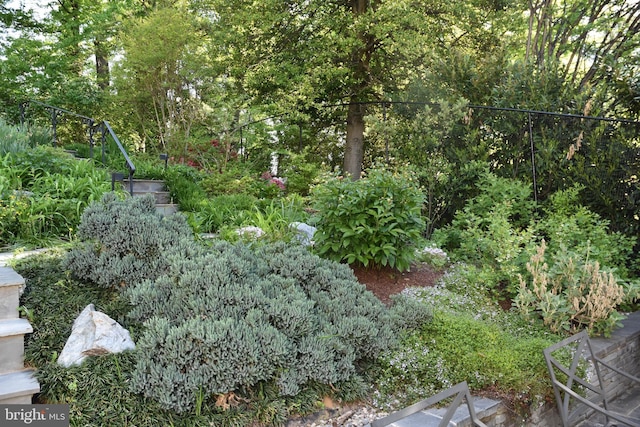 3517 Woodbine St, Chevy Chase, MD 20815 - view of local wilderness