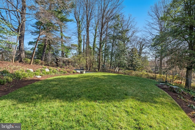 3517 Woodbine St, Chevy Chase, MD 20815 - view of yard
