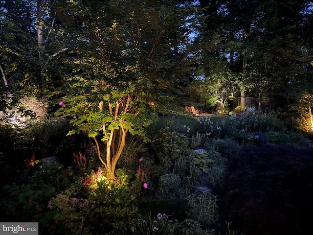 3517 Woodbine St, Chevy Chase, MD 20815 - view of landscape