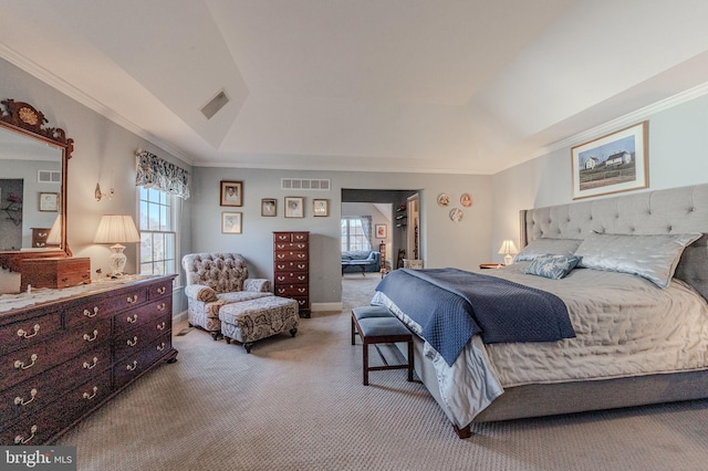 bedroom featuring visible vents, a raised ceiling, and carpet