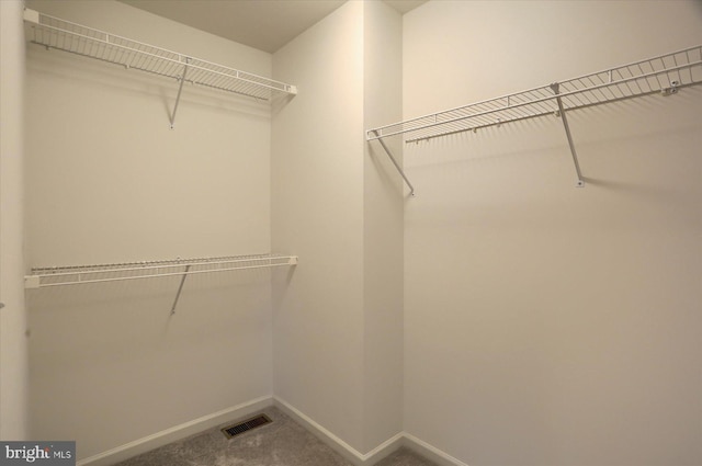 walk in closet featuring carpet and visible vents