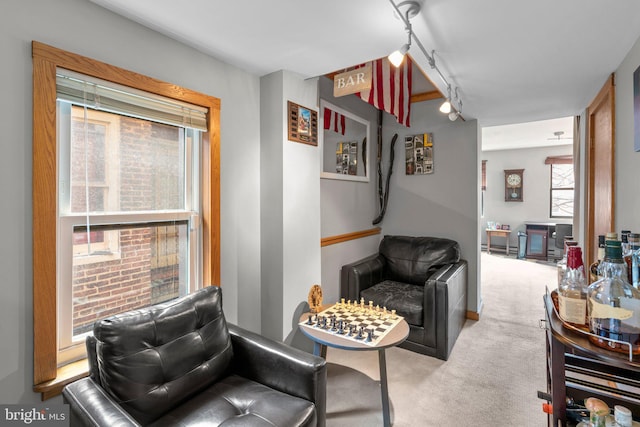 living area featuring rail lighting and carpet floors