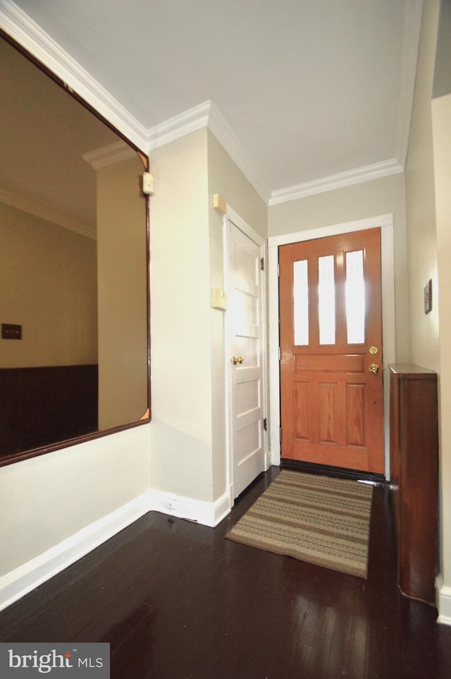 foyer entrance featuring wood-type flooring, baseboards, and ornamental molding