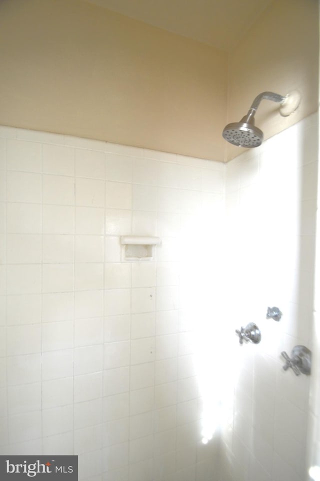 room details with a tile shower