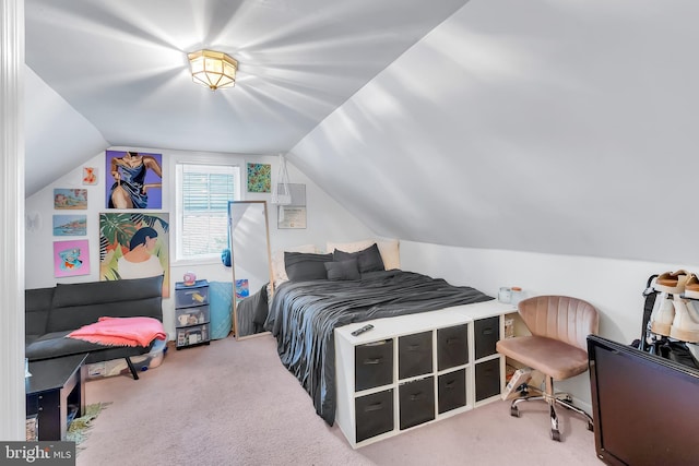 carpeted bedroom with vaulted ceiling