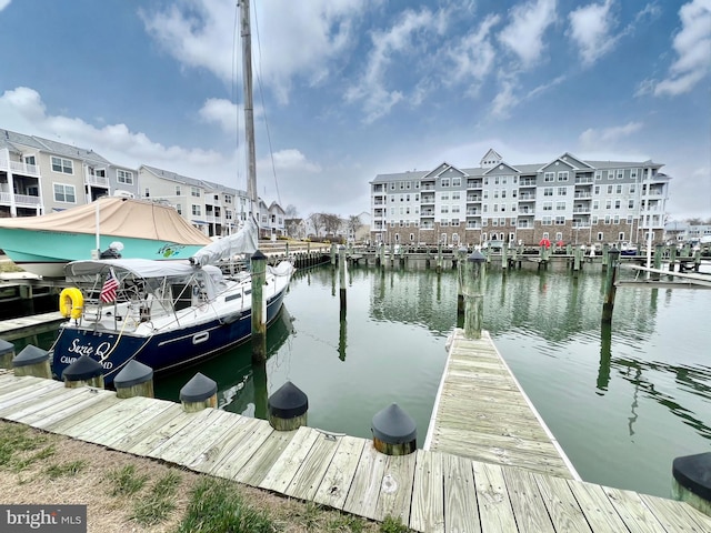 dock area with a water view