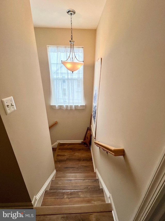 staircase with baseboards and wood finished floors