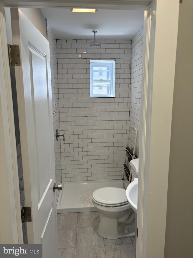 bathroom with a stall shower and toilet