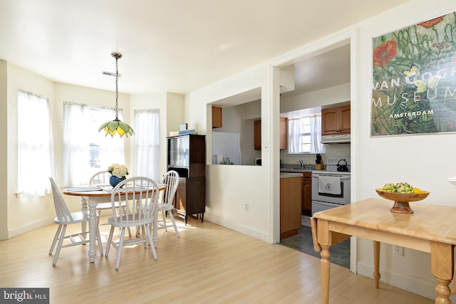 dining room featuring visible vents, plenty of natural light, baseboards, and light wood-style flooring