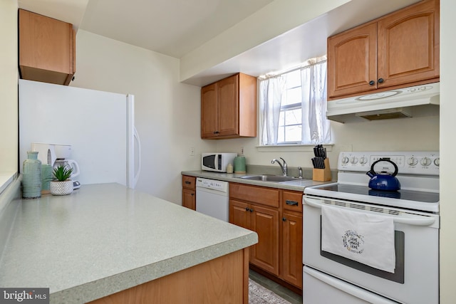 kitchen featuring under cabinet range hood, light countertops, brown cabinets, white appliances, and a sink