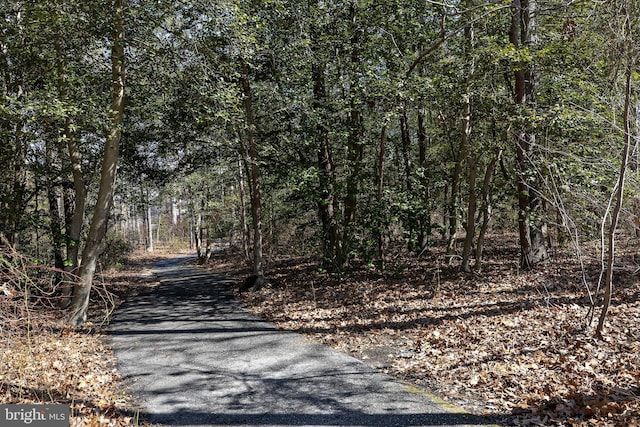 view of street with a forest view