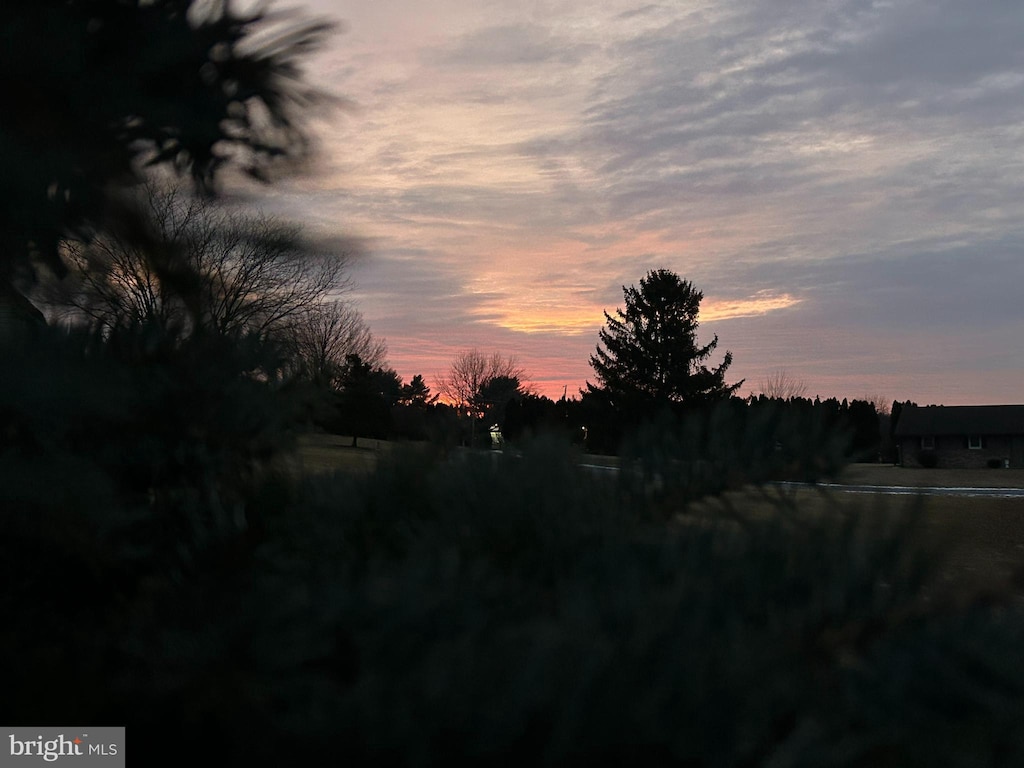 view of nature at dusk